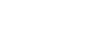 Opsra - Entries AI
