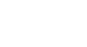 dataflo - Entries AI