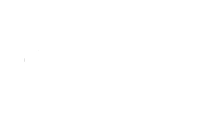 Auditcue - Entries AI