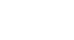 Nestiq - Entries AI