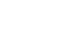 Careerpedia - Entries AI