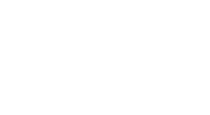 Tranzeal - Entries AI