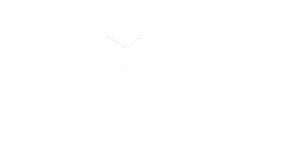 iCube - Entries AI