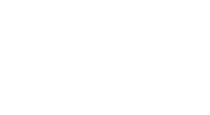 Sparrowpay - Entries AI