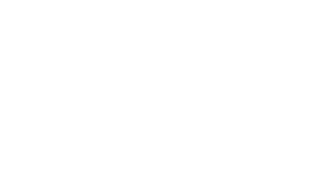 AllianceIT - Entries AI